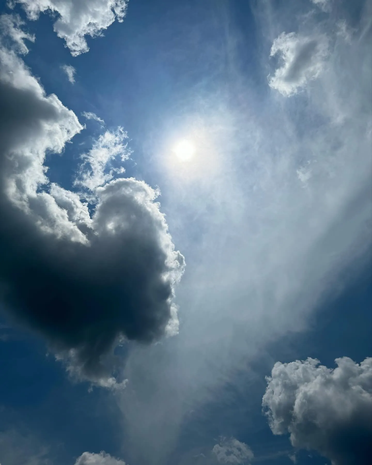 梅雨☂️前に暑いですね🥵7〜8月はどんな暑さになるのか恐ろし...