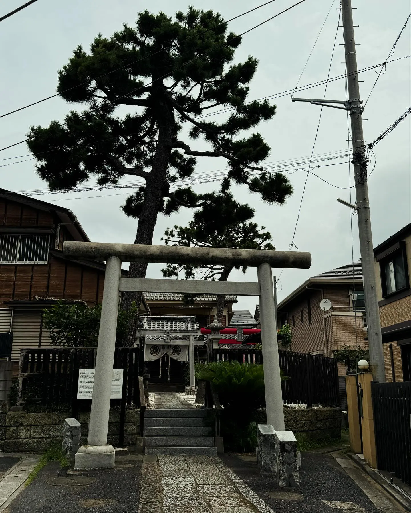 6月30日は夏越しの大祓　今年上半期の罪穢れ(氣枯れ)を払い...