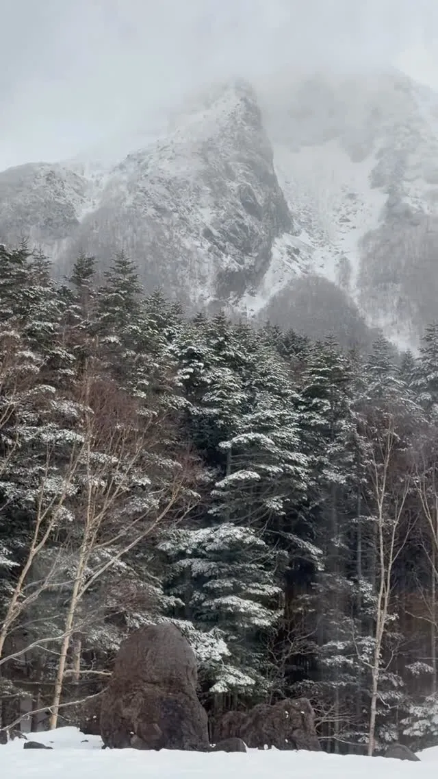 日帰りで丸沼高原スキー場。